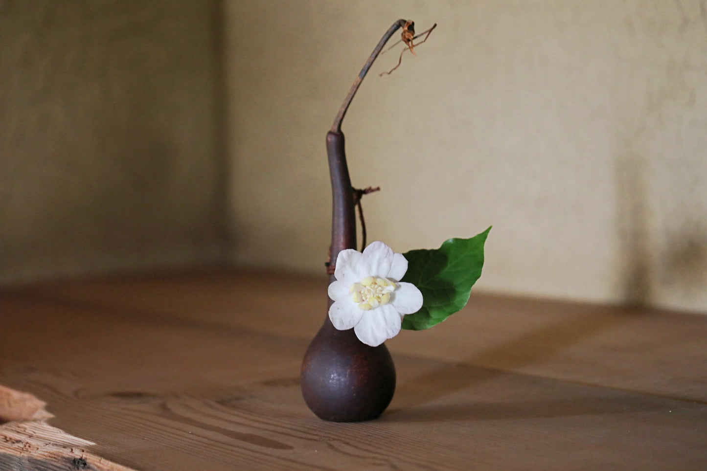 RARE! Japanese antique very light vase floral organs hand made of natural GOURD bottle with vine, wooden box, Tea ceremony H11×2.8in /28x7cm