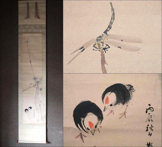 Japanese vintage hanging scroll of water color painting, end of summer Small birds, dragonflies, threadbills, KAKEJIKU with BOX H84in/H213cm